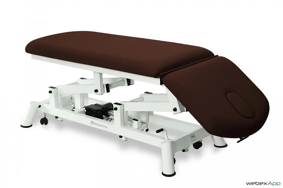 Table de massage - d'examen électrique CE-2120-AR
